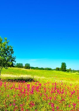 Classic Rural Landscape Fl