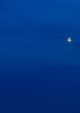 Beautiful Almost Fool Moon