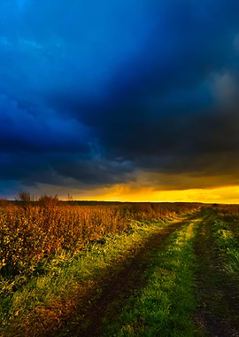 Road In The Field And The