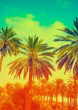 Palm Trees Against Sky At