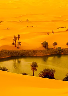 Stunning Backgrounds