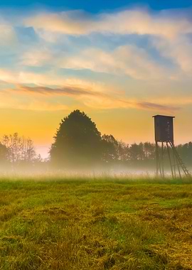 Sunrise On Foggy Meadow Wi