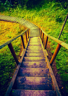 Wooden Pathway In The Fore