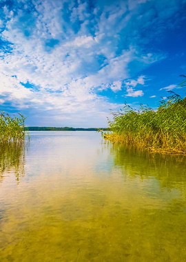 Beautiful Lake Shore With
