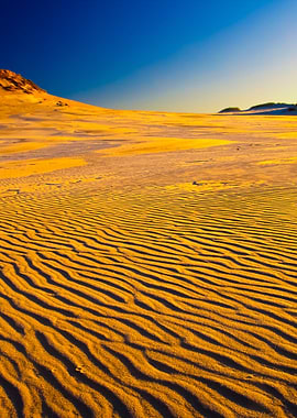 Sand Dunes At Sunrise