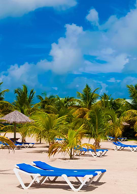 Beach In Antigua