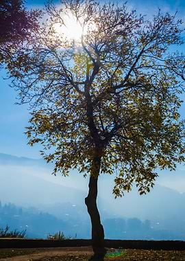 People In Beautiful Park W