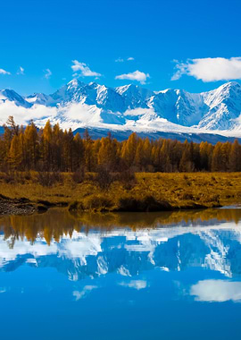 Stunning Backgrounds