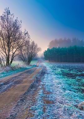 Beautiful Morning With Fro