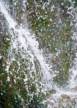 In The Harz Mountains