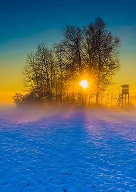 Beautiful Winter Field Lan