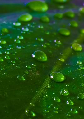 Stunning Backgrounds