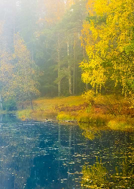 Autumn River Scene In Stro