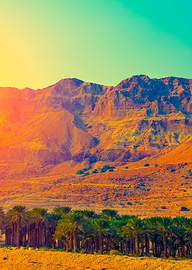 Judean Desert In Israel At