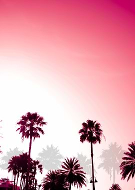Palm Trees Sunset Retro