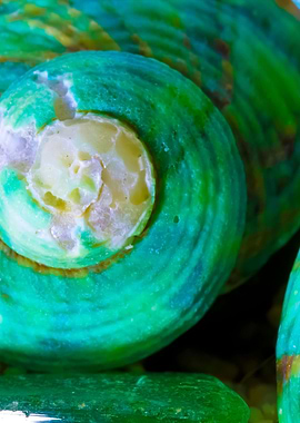 Stunning Backgrounds