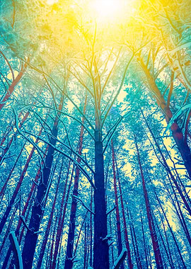 Vintage Frame From Tall Tr