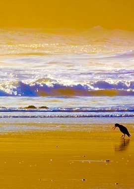 Stunning Backgrounds