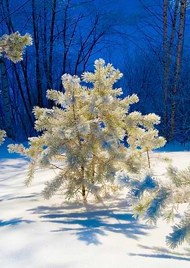 Stunning Backgrounds