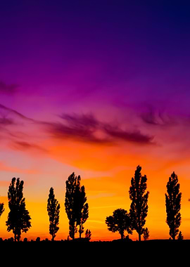 Sunset Over Rural Field