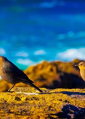 Stunning Backgrounds