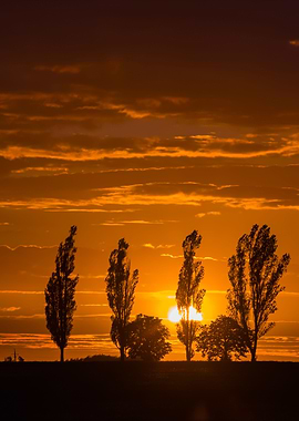Landscape With Orange Suns