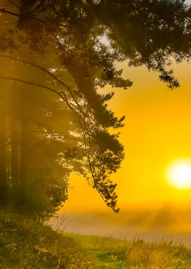 Foggy Morning On Polish Me