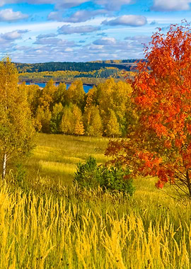 Stunning Backgrounds