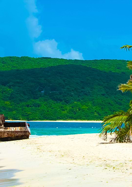 Puerto Rico Beach Tank