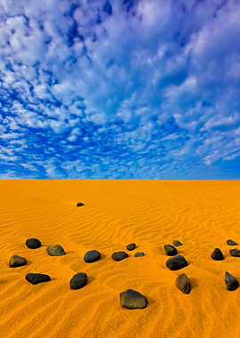 Yellow Sand Summer Dry Lan