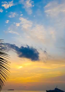 Beautiful Sunset On A Trop