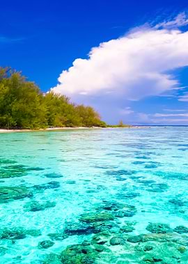 Stunning Backgrounds