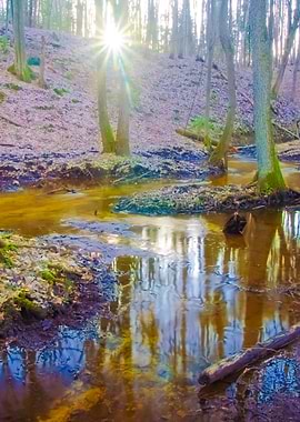Wild River Landscape
