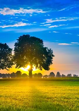 Sunset Over Rural Field