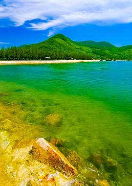 Beach Scene Tropics Pacifi