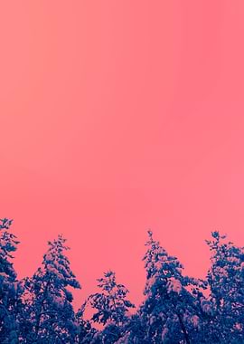 Vintage Background With Pi