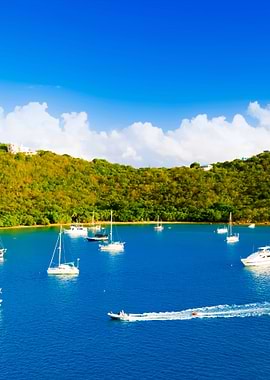 Stunning Backgrounds