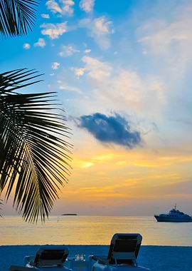 Beautiful Sunset On A Trop