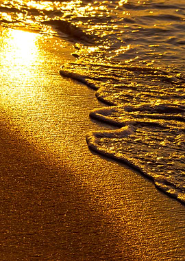 Beach In The Evening