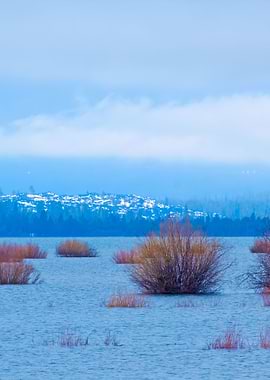 Stunning Backgrounds