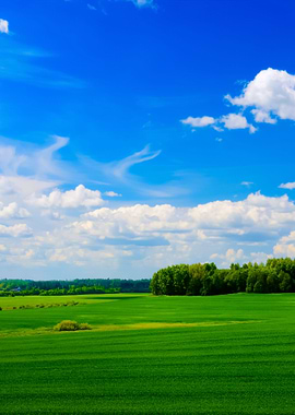 Classic Rural Landscape Gr