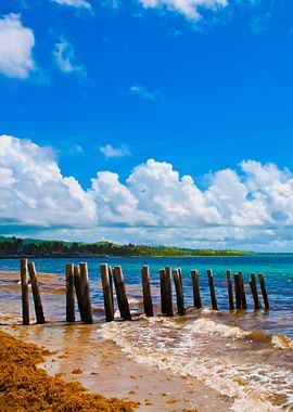 Pier Stilts On Beach