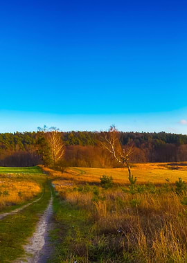 Panoramic Landscape Of Fie