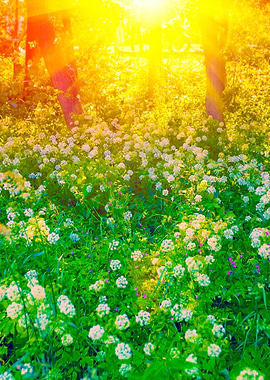 Flowers On The Forest Edge