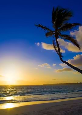 Stunning Backgrounds