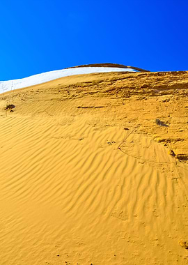 Desert Landscape General V