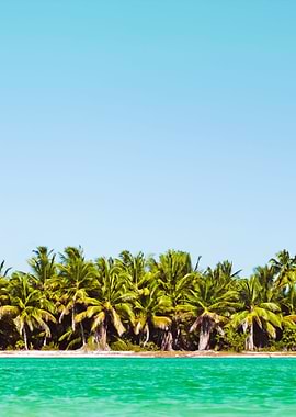 Summer Scene With Tropical