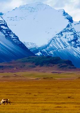 Stunning Backgrounds