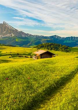 Lankoffel Mountain Range V