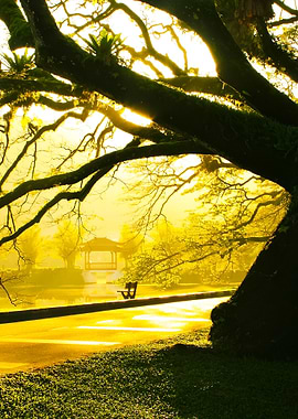 Morning Taiping Lake Garde